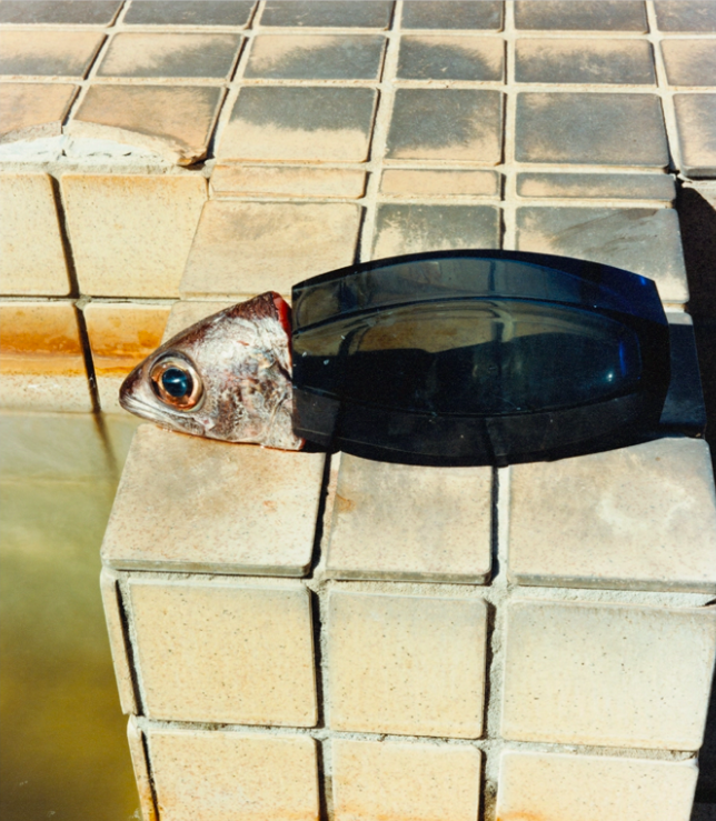 NAOHIRO HARADA LensCulture naohiro-harada-lensculture